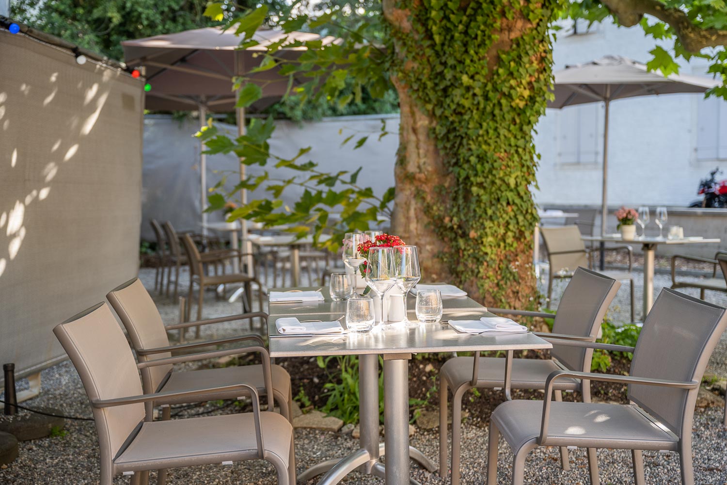 Restaurant L'Auberge - Pregny-Chambésy - La Terrasse